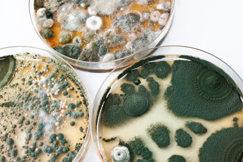 Microbiological Water Testing